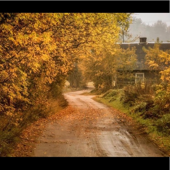 Follow Gain train Share & Collect 💙 Tag your PFF’s! - Picture 8 of 10